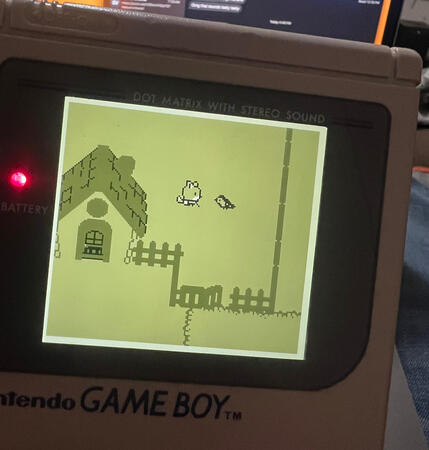 Cosy game in progress